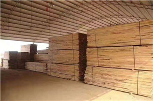 杉木分片锯 选择广东圆木多片锯机厂家一年可省下3分之一的开销